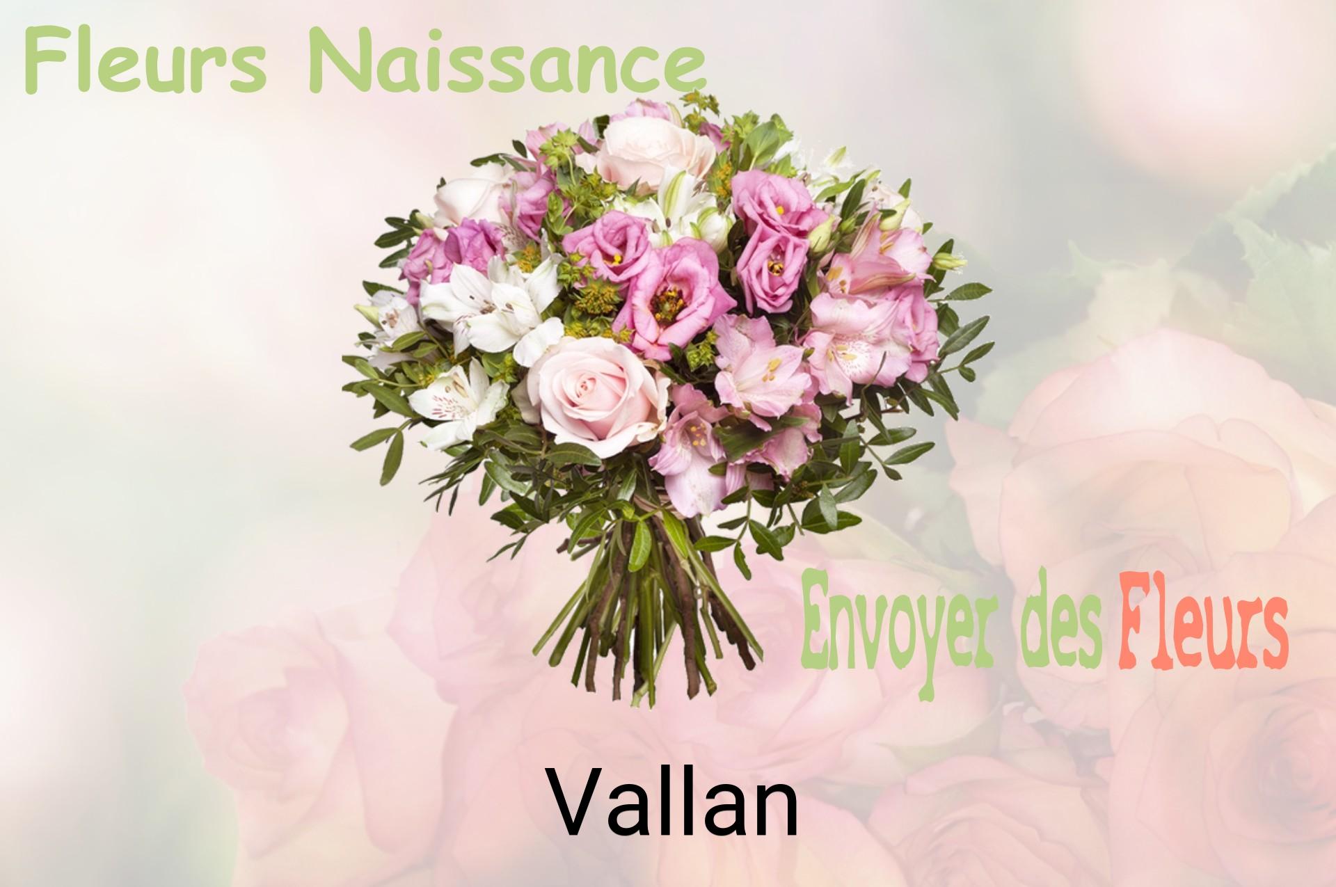 Bouquet de fleurs de naissance livré à Vallan